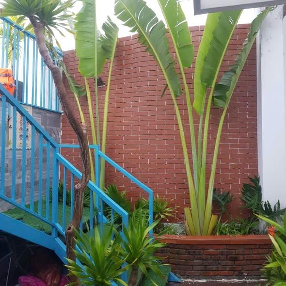 Studio for rent, 1 bedroom, Hải Châu, Đà Nẵng - Photo 1